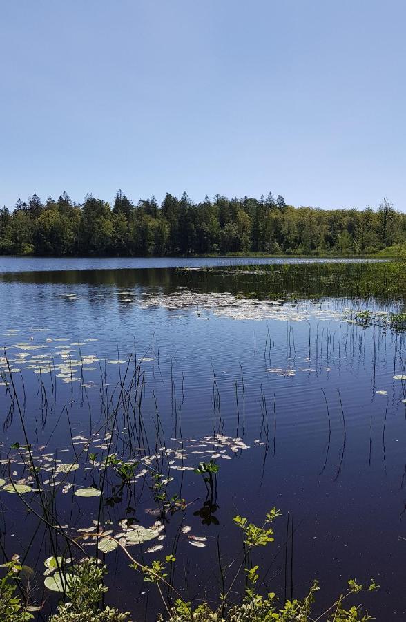 Stroenhult Farmhouse By The Lake Stronhult Esterno foto