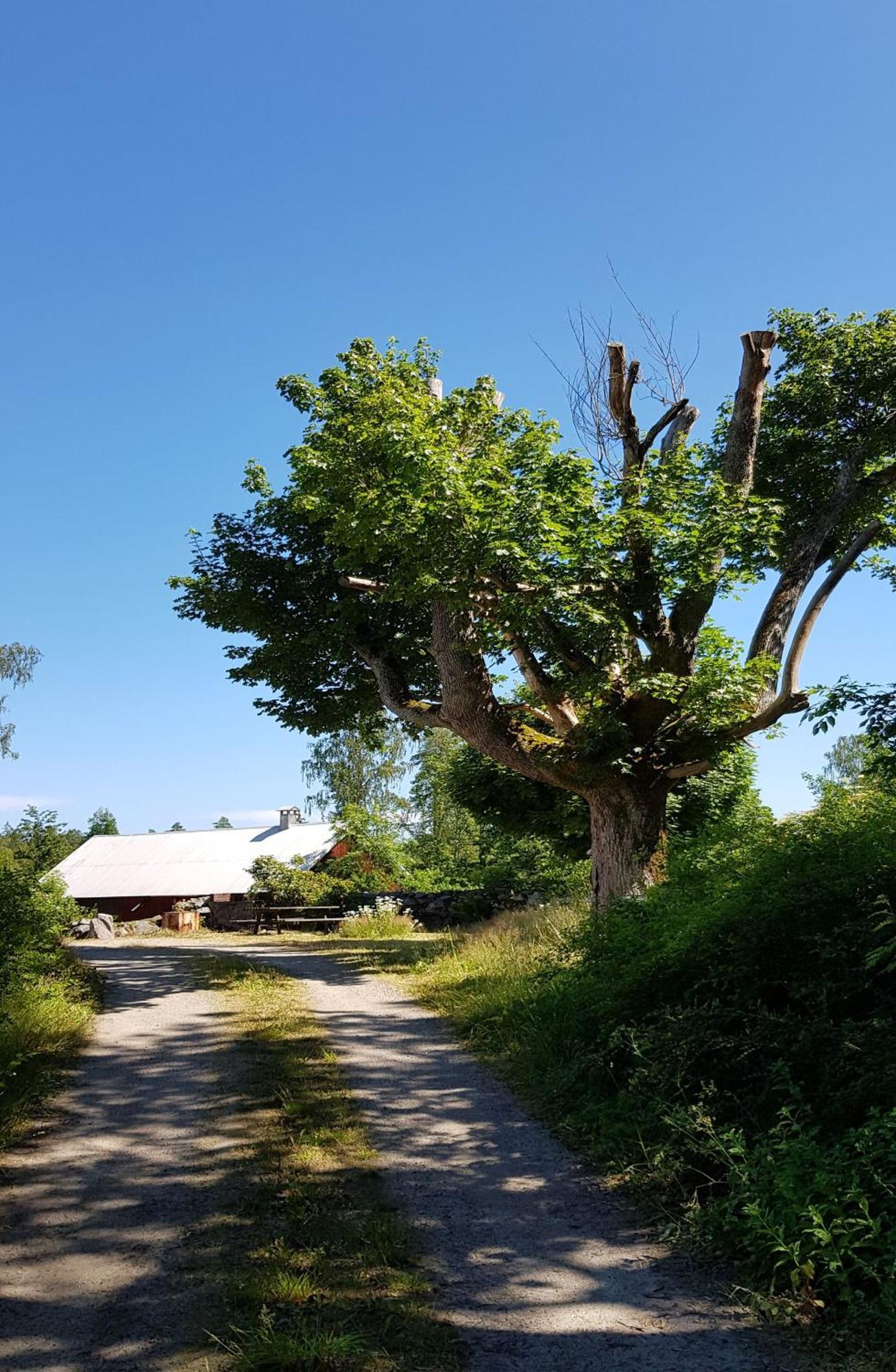 Stroenhult Farmhouse By The Lake Stronhult Esterno foto